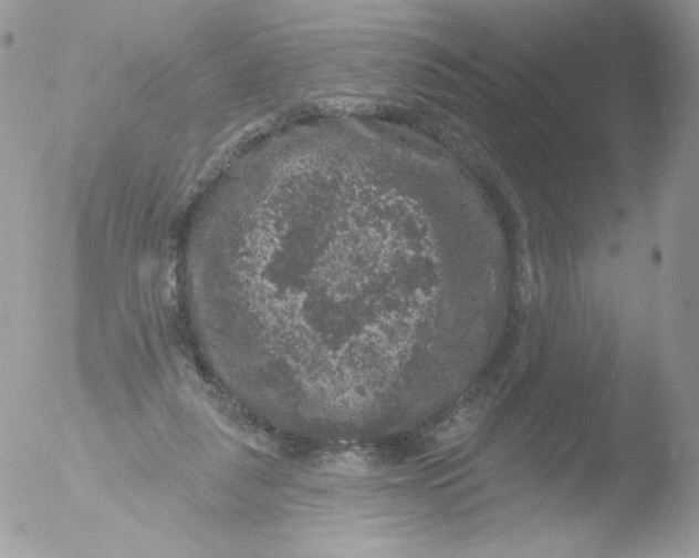 X0000051890259200507151946