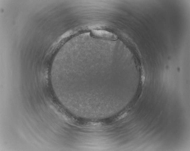 X0000051890260200507151946