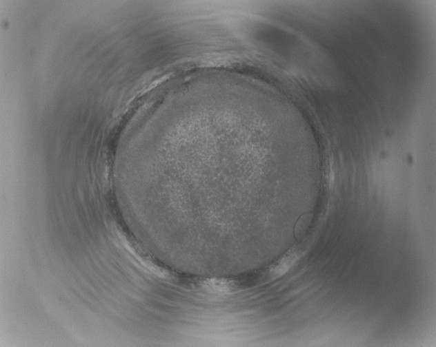 X0000051890261200507151946