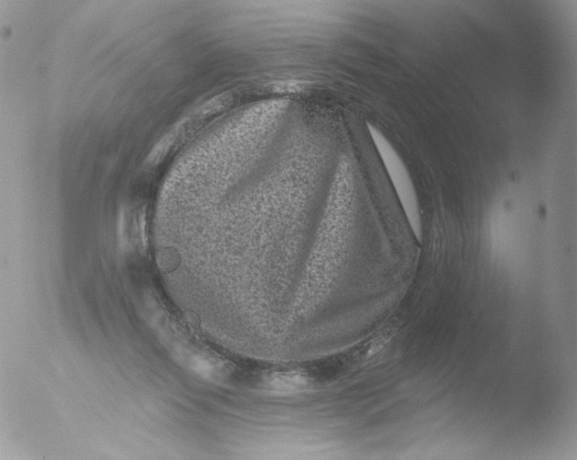 X0000051890262200507151946