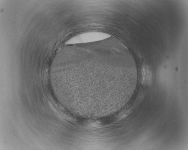 X0000051890263200507151946