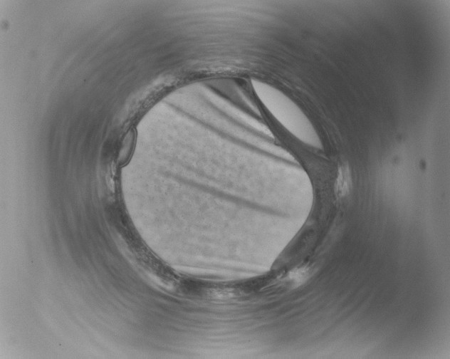 X0000051890264200507151946