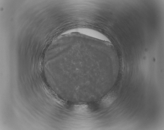 X0000051890266200507151946