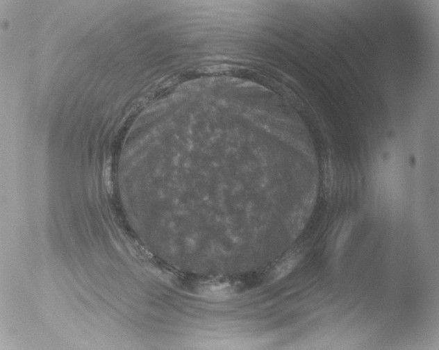 X0000051890267200507151946