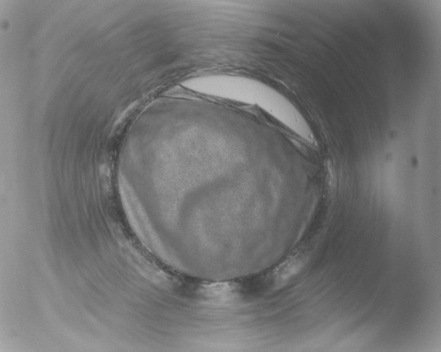 X0000051890269200507151946