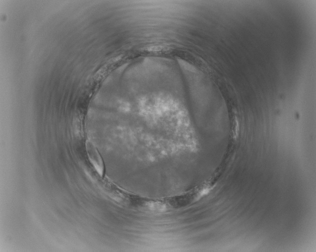 X0000051890272200507151946