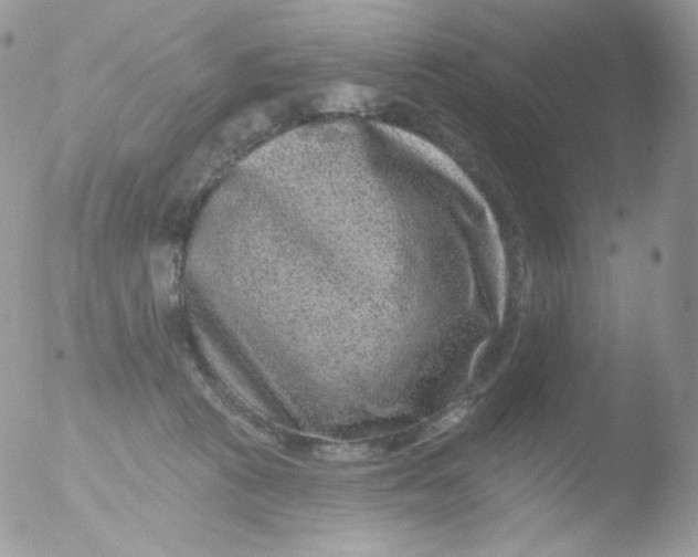 X0000051890273200507151946