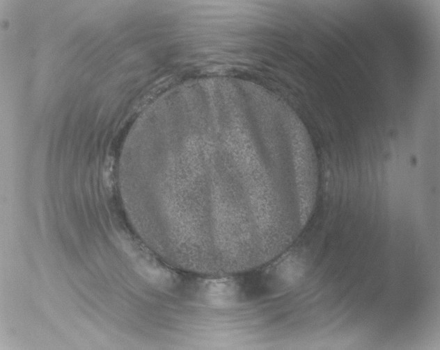 X0000051890275200507151946