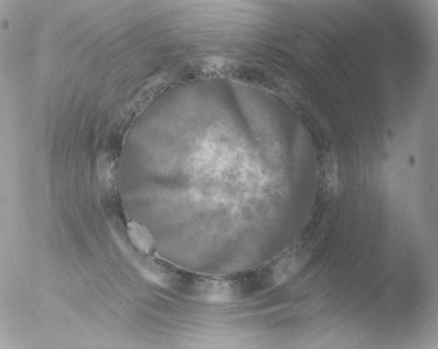 X0000051890276200507151946