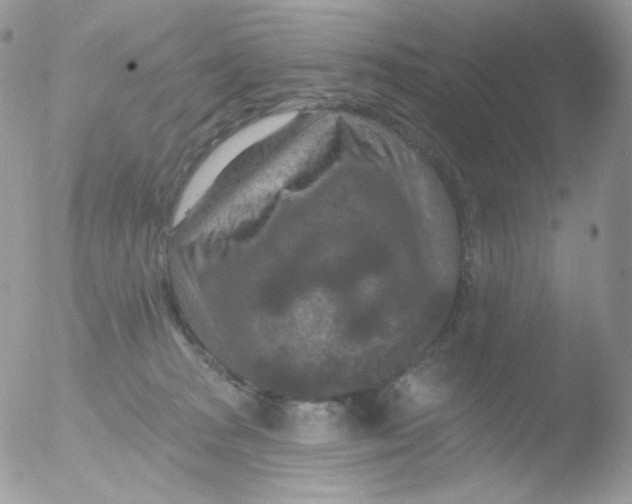 X0000051890277200507151946