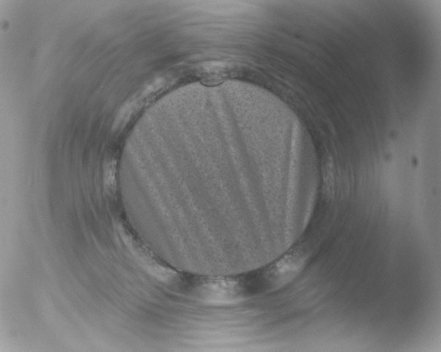 X0000051890278200507151946