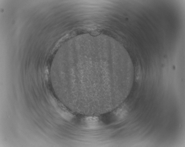 X0000051890279200507151946