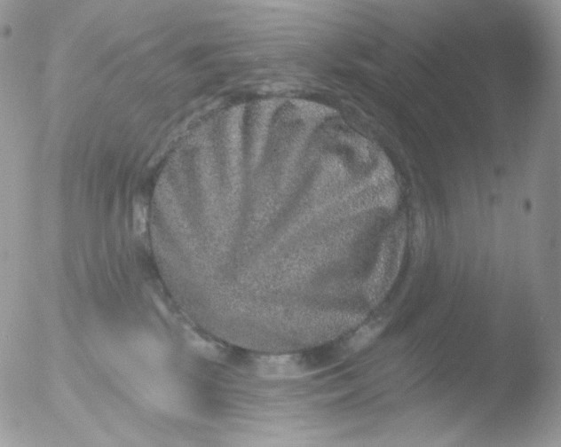 X0000051890281200507151946