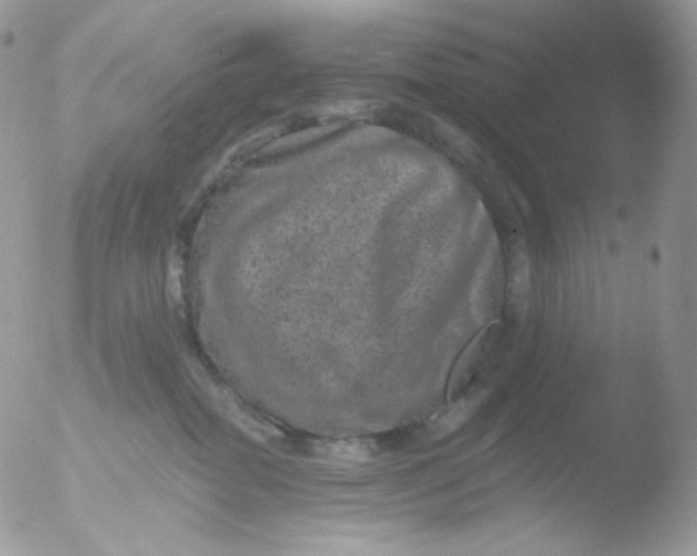 X0000051890282200507151946