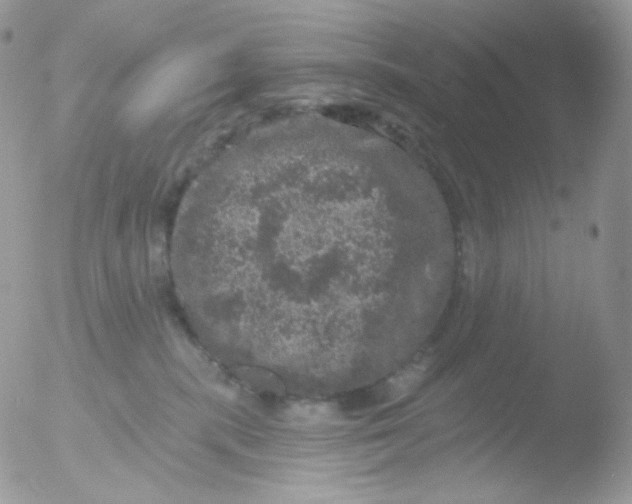 X0000051890283200507151947