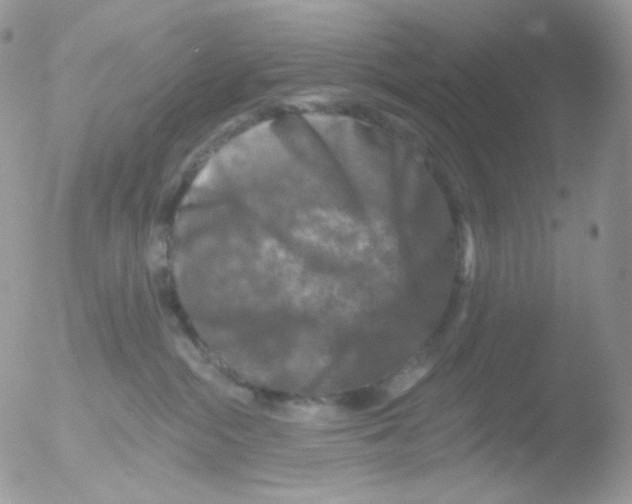 X0000051890284200507151947