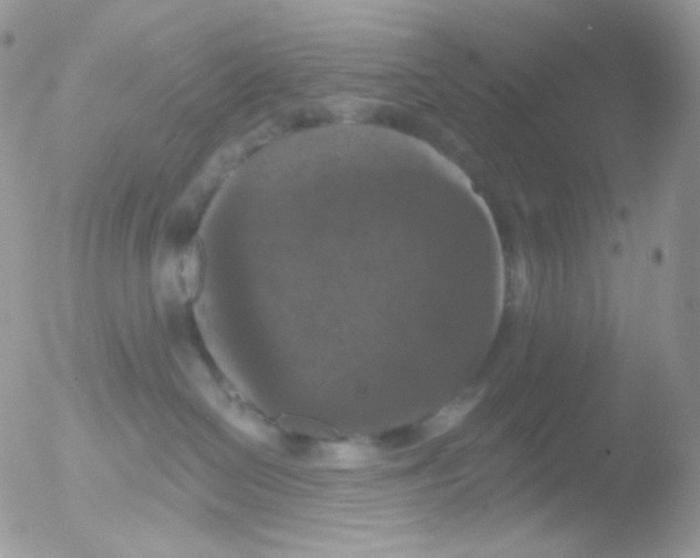 X0000051890286200507151947