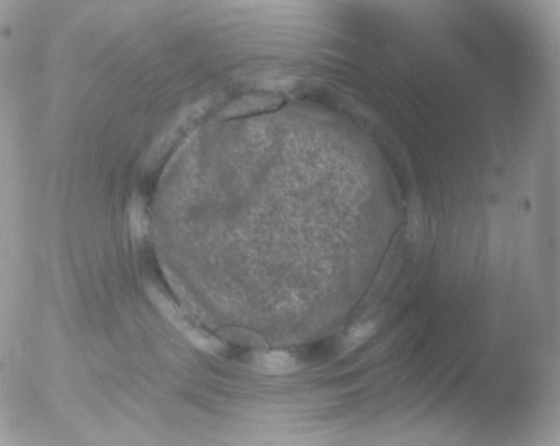 X0000051890287200507151947