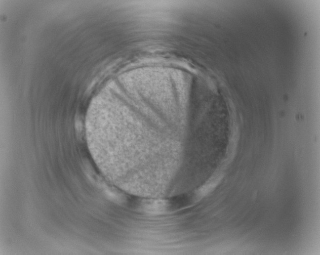 X0000051890288200507151947