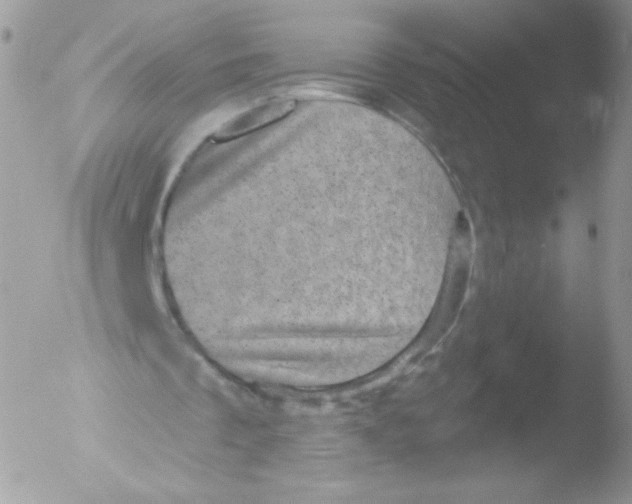 X0000051890289200507151946