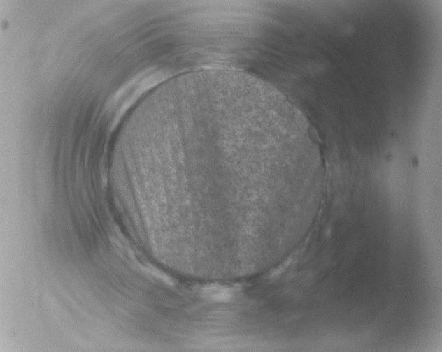 X0000051890290200507151946