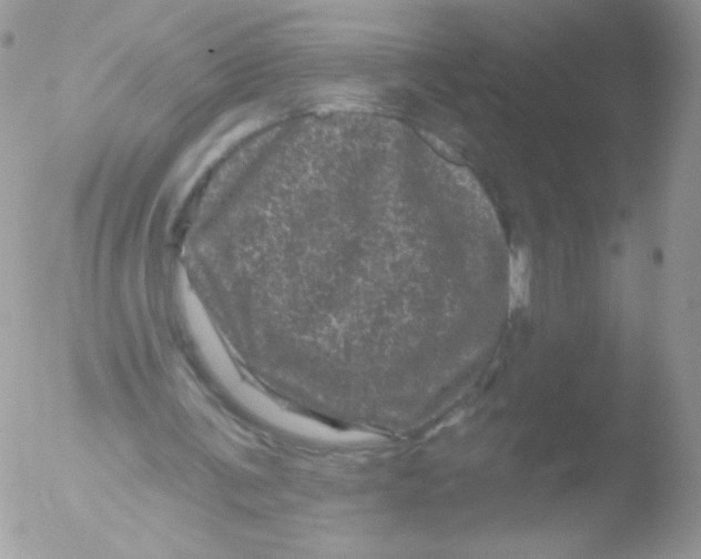 X0000051890291200507151946