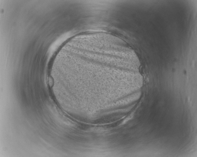 X0000051890294200507151946