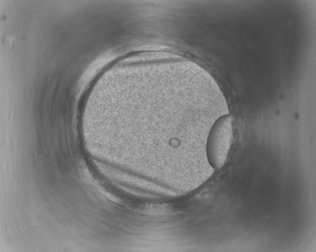 X0000051890296200507151946