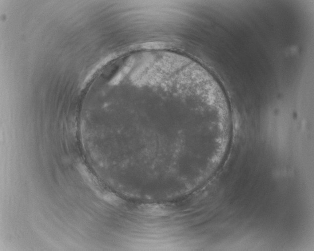 X0000051890297200507151946