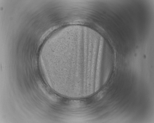 X0000051890298200507151946