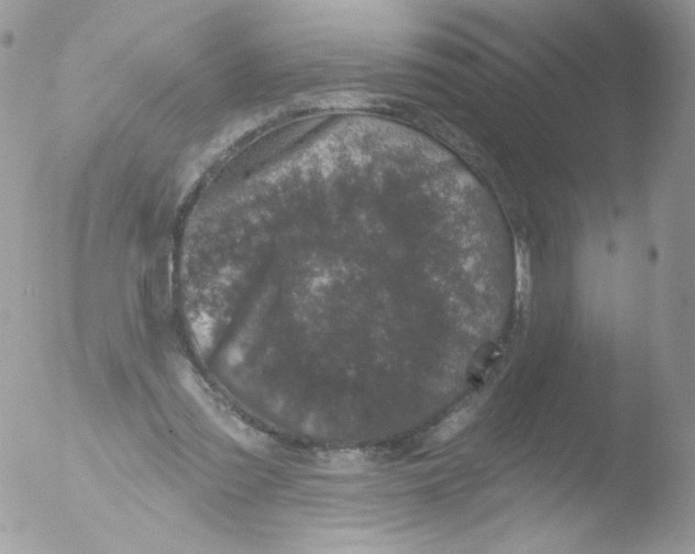 X0000051890301200507151946