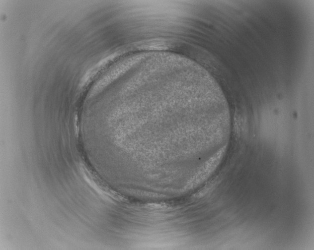 X0000051890302200507151946