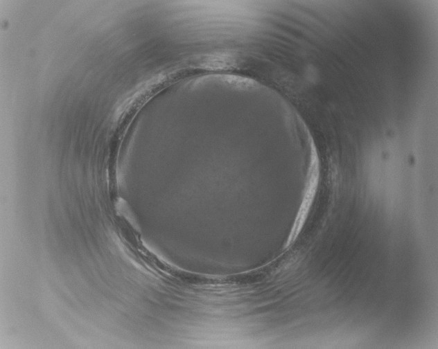 X0000051890303200507151946