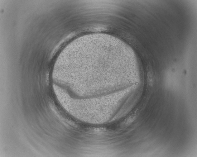 X0000051890304200507151946