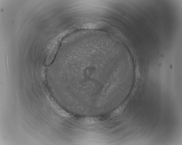 X0000051890305200507151946