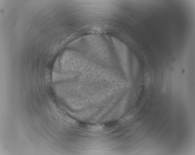 X0000051890318200507151945