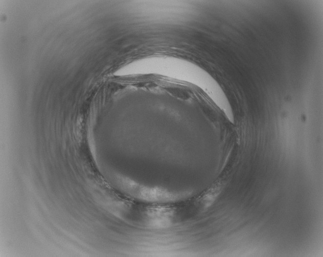 X0000051890319200507151945