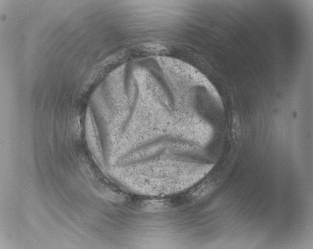 X0000051890320200507151945