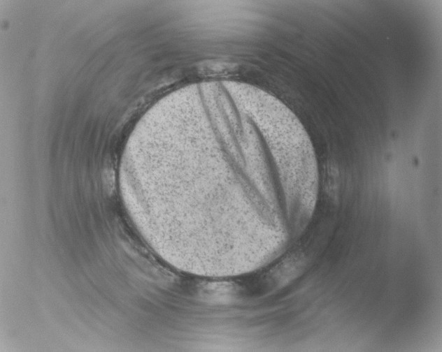 X0000051890324200507151945