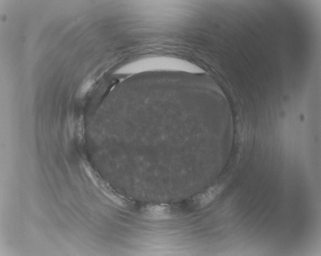 X0000051890325200507151945