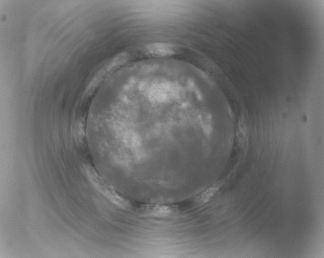 X0000051890330200507151945