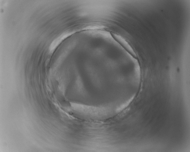 X0000051890337200507151944