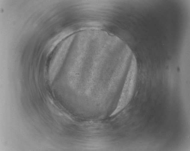 X0000051890338200507151944