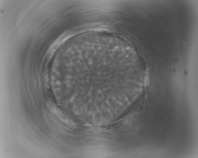 X0000051890339200507151944