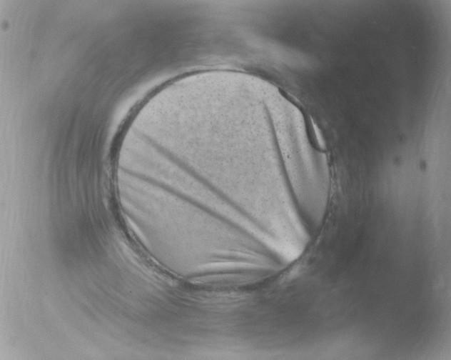 X0000051890342200507151944