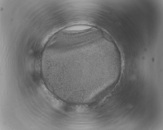 X0000051890345200507151944