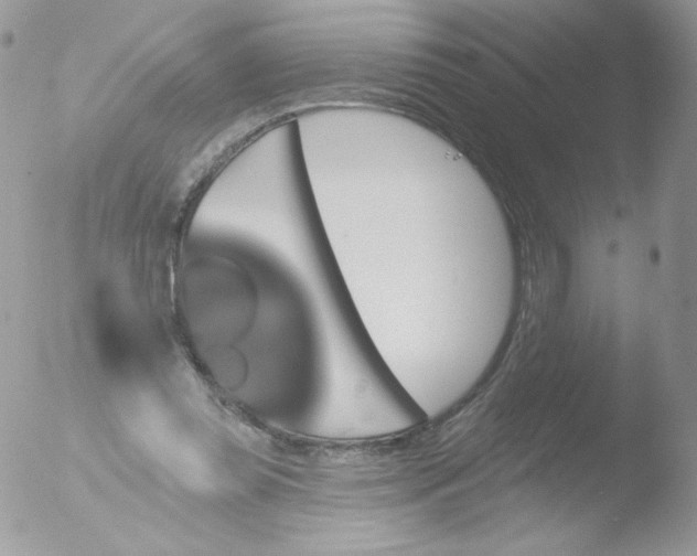 X0000051890349200507151944