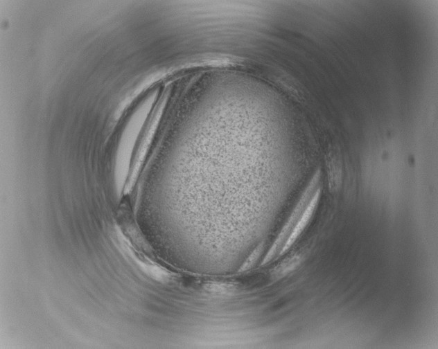 X0000051890350200507151944