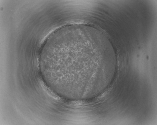 X0000051890351200507151944