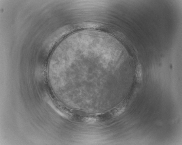 X0000051890352200507151944